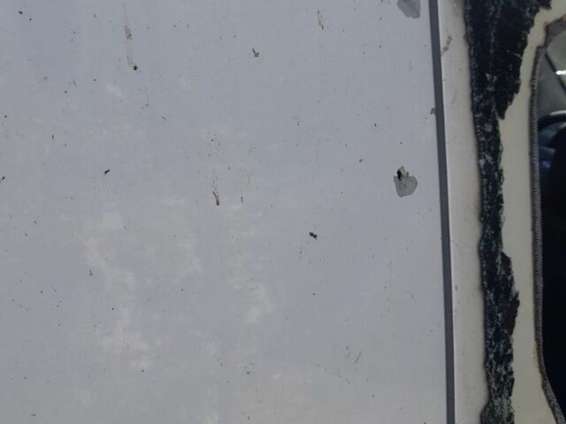 Белый Форд Турнео Коннект, объемом двигателя 0 л и пробегом 350 тыс. км за 2000 $, фото 18 на Automoto.ua