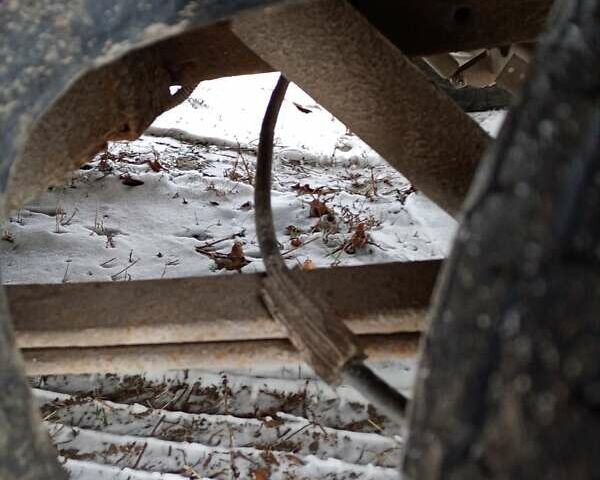 Білий Форд Транзит, об'ємом двигуна 2 л та пробігом 285 тис. км за 4200 $, фото 2 на Automoto.ua