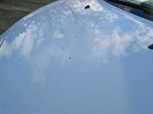 Форд Транзит 2020 в Овидиополе на Automoto.ua Белый Форд Транзит, объемом двигателя 1.5 л и пробегом 156 тыс. км за 12500 $, фото 11 на Automoto.ua