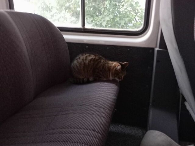 Белый Форд Транзит, объемом двигателя 2 л и пробегом 160 тыс. км за 3300 $, фото 3 на Automoto.ua