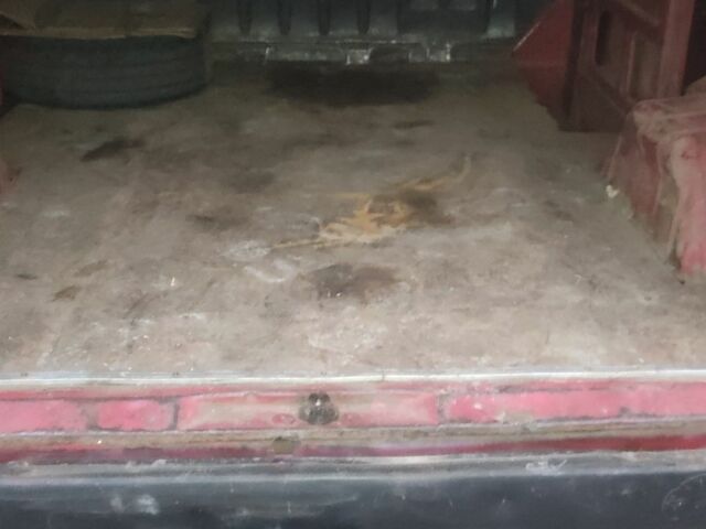 Червоний Форд Транзит, об'ємом двигуна 2.5 л та пробігом 1000 тис. км за 2350 $, фото 6 на Automoto.ua