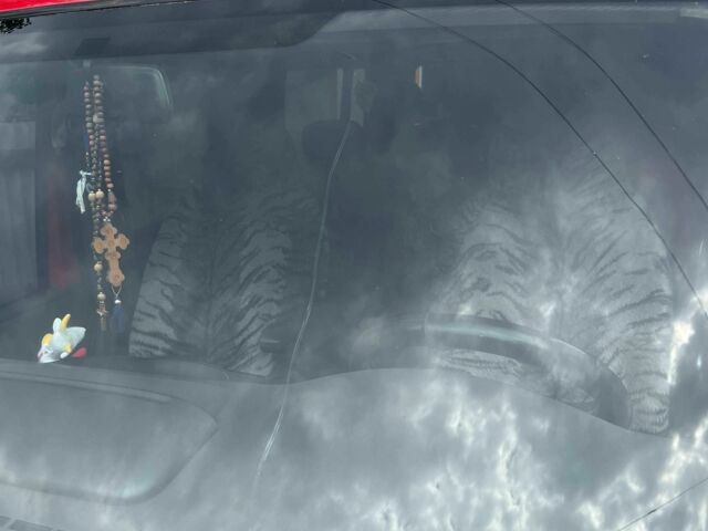 Форд Транзит, объемом двигателя 0 л и пробегом 0 тыс. км за 8000 $, фото 12 на Automoto.ua