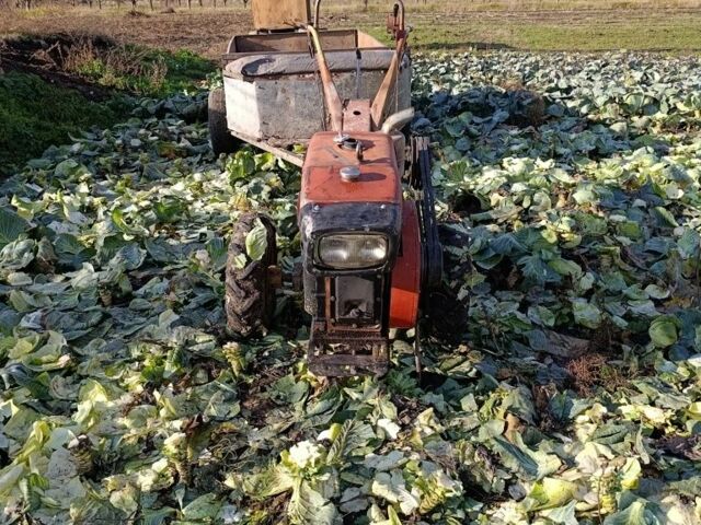 Червоний Форте 16, об'ємом двигуна 16 л та пробігом 10 тис. км за 665 $, фото 9 на Automoto.ua