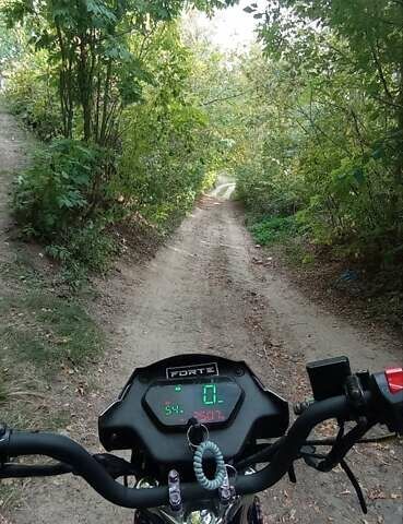 Форте Alpha, объемом двигателя 0 л и пробегом 299 тыс. км за 16590 $, фото 8 на Automoto.ua