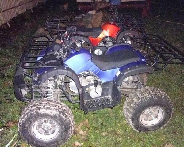 Синий Форте ATV 125, объемом двигателя 0.12 л и пробегом 25 тыс. км за 700 $, фото 3 на Automoto.ua