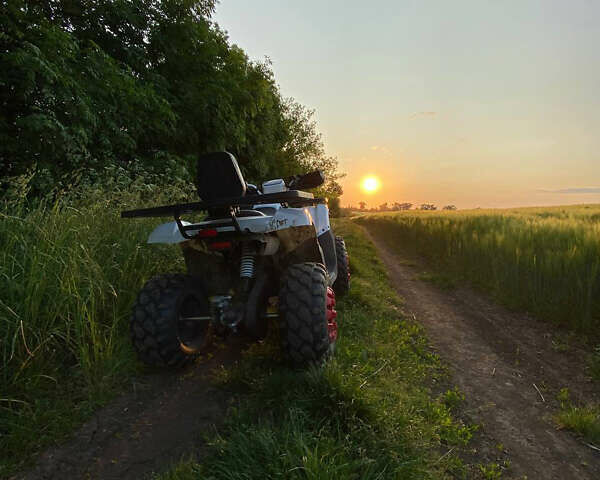 Белый Форте Braves 200, объемом двигателя 0.2 л и пробегом 2 тыс. км за 1500 $, фото 3 на Automoto.ua