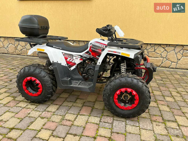 Белый Форте Braves 200, объемом двигателя 0.2 л и пробегом 1 тыс. км за 1650 $, фото 3 на Automoto.ua