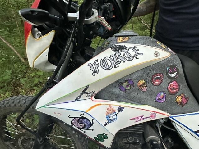 Форте Cross 250, объемом двигателя 0.25 л и пробегом 0 тыс. км за 850 $, фото 2 на Automoto.ua