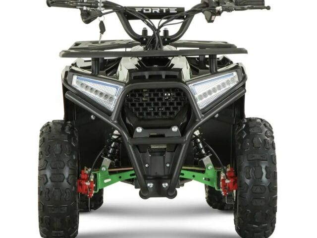 Форте Другая 2025 в Черкассах на Automoto.ua Форте Другая, объемом двигателя 0 л и пробегом 0 тыс. км за 529 $, фото 3 на Automoto.ua