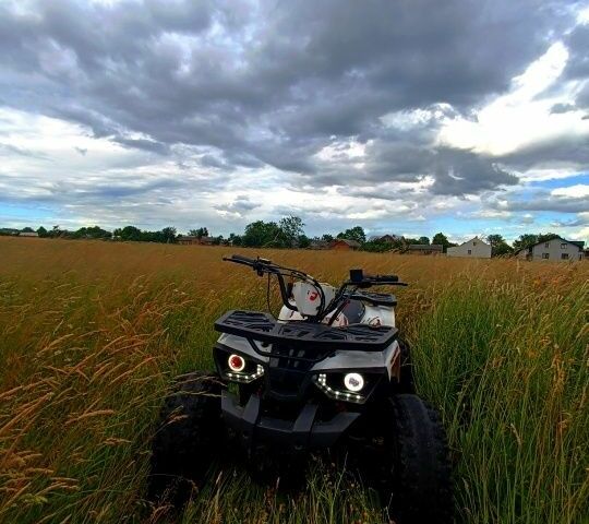 Форте Інша, об'ємом двигуна 0.13 л та пробігом 0 тис. км за 500 $, фото 5 на Automoto.ua