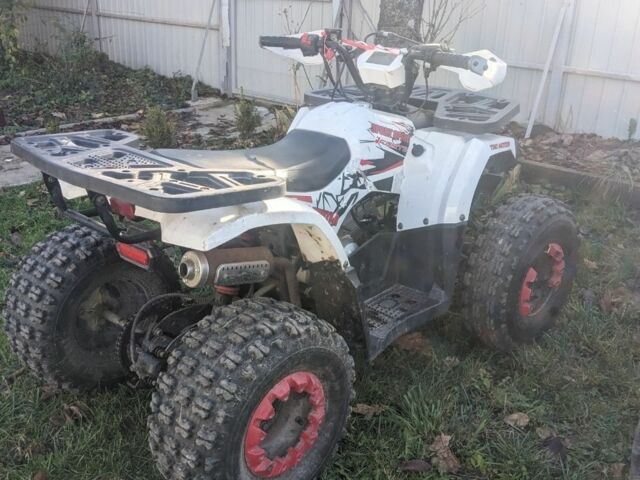 Форте Другая 2021 в Житомире на Automoto.ua Форте Другая, объемом двигателя 0.13 л и пробегом 0 тыс. км за 800 $, фото 5 на Automoto.ua