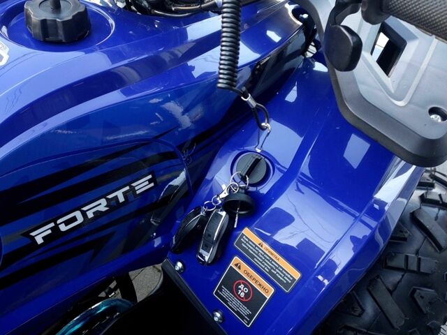 Форте Другая 2025 в Стрые на Automoto.ua Форте Другая, объемом двигателя 0.13 л и пробегом 0 тыс. км за 1200 $, фото 21 на Automoto.ua