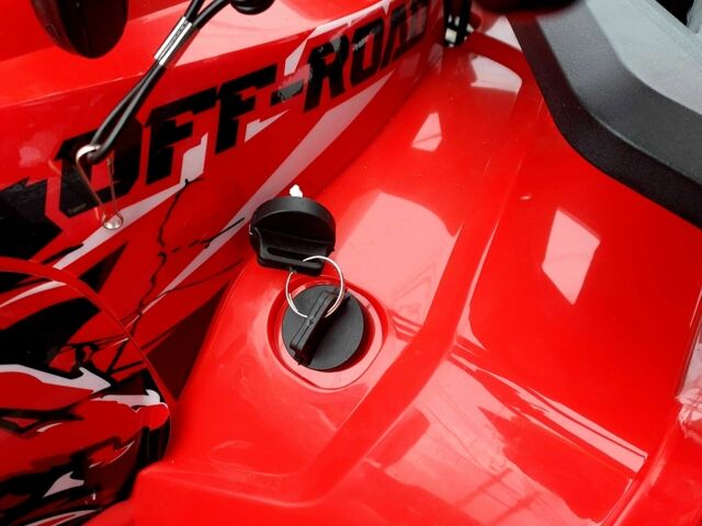 Форте Інша, об'ємом двигуна 0.13 л та пробігом 0 тис. км за 1100 $, фото 16 на Automoto.ua