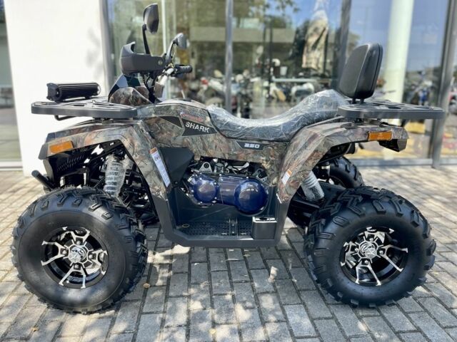 Форте Другая, объемом двигателя 0.25 л и пробегом 0 тыс. км за 2850 $, фото 2 на Automoto.ua