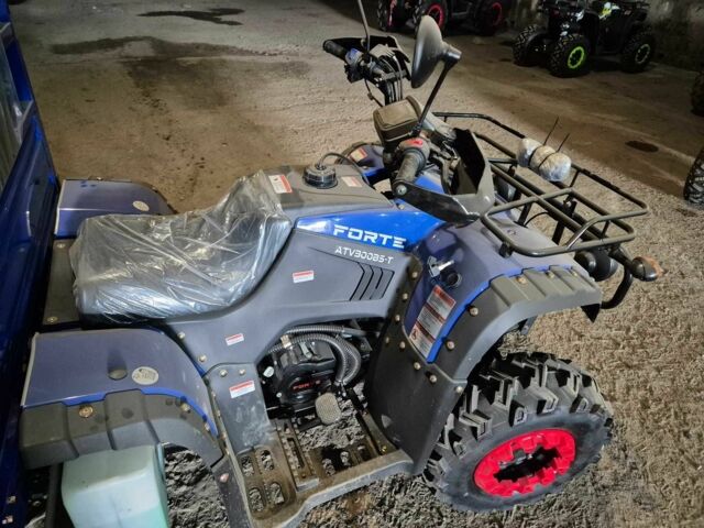 Форте Інша, об'ємом двигуна 0.28 л та пробігом 0 тис. км за 4250 $, фото 6 на Automoto.ua