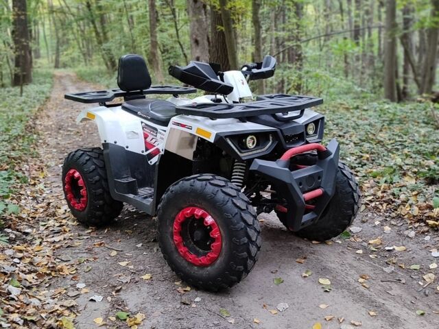 Форте Другая 2020 в Лубнах на Automoto.ua Форте Другая, объемом двигателя 0.2 л и пробегом 0 тыс. км за 1270 $, фото 4 на Automoto.ua