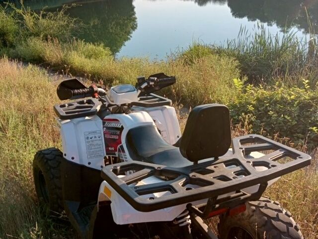 Форте Інша 2021 у Лубнах на Automoto.ua Форте Інша, об'ємом двигуна 0.2 л та пробігом 0 тис. км за 1265 $, фото 4 на Automoto.ua