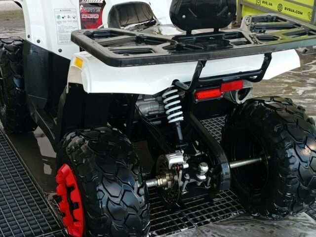 Форте Інша 2021 у Лубнах на Automoto.ua Форте Інша, об'ємом двигуна 0.2 л та пробігом 0 тис. км за 1265 $, фото 2 на Automoto.ua