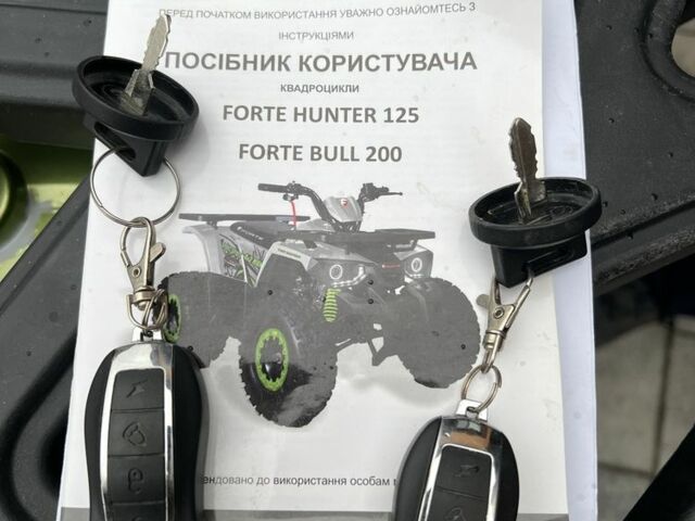 Форте Інша, об'ємом двигуна 0.2 л та пробігом 0 тис. км за 1307 $, фото 5 на Automoto.ua