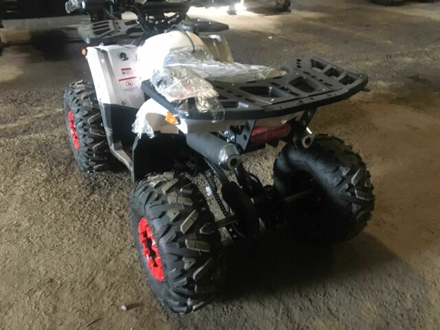 Форте Другая, объемом двигателя 0.13 л и пробегом 0 тыс. км за 1150 $, фото 3 на Automoto.ua