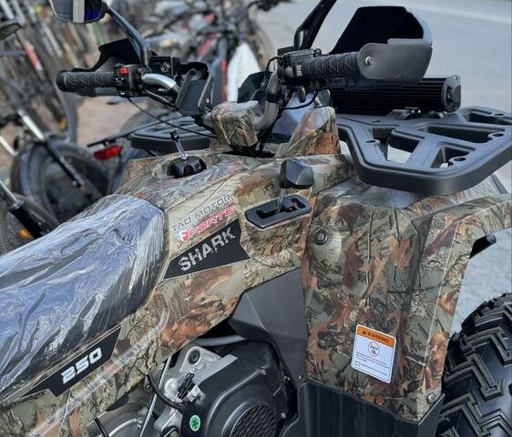 Форте Другая, объемом двигателя 0.25 л и пробегом 0 тыс. км за 2845 $, фото 6 на Automoto.ua