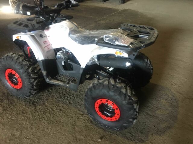 Форте Другая, объемом двигателя 0.13 л и пробегом 0 тыс. км за 1150 $, фото 5 на Automoto.ua