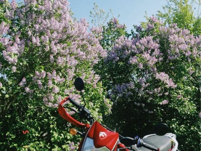 Форте Другая, объемом двигателя 0.2 л и пробегом 0 тыс. км за 975 $, фото 2 на Automoto.ua