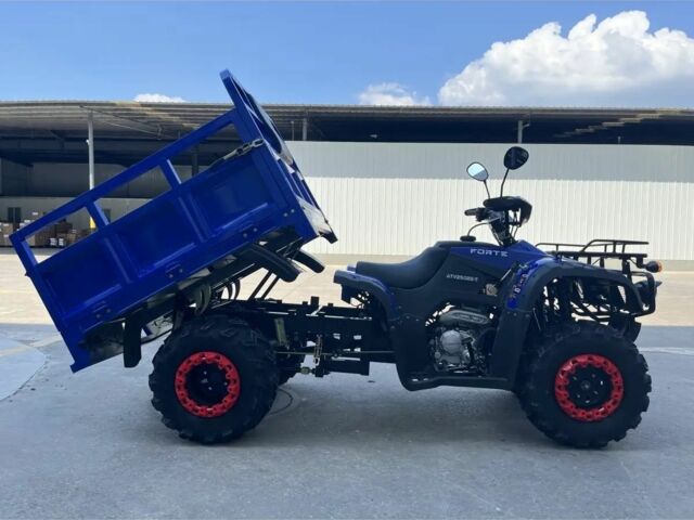 Форте Другая, объемом двигателя 0.25 л и пробегом 0 тыс. км за 3700 $, фото 11 на Automoto.ua