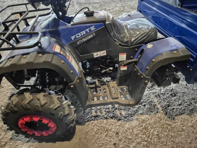 Форте Другая, объемом двигателя 0.3 л и пробегом 0 тыс. км за 4400 $, фото 5 на Automoto.ua