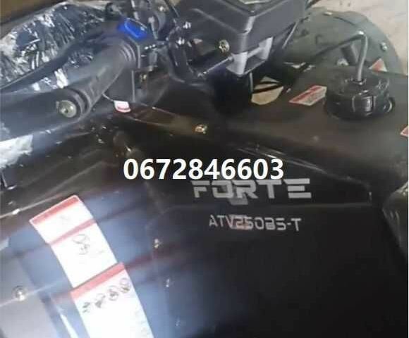 Форте Другая, объемом двигателя 2.3 л и пробегом 0 тыс. км за 3970 $, фото 16 на Automoto.ua