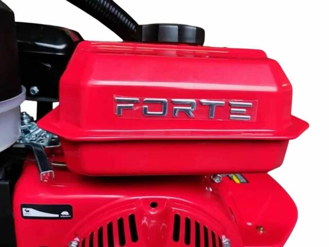 Форте Другая, объемом двигателя 0.21 л и пробегом 0 тыс. км за 608 $, фото 13 на Automoto.ua