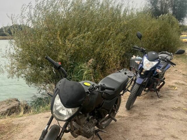 Форте Другая 2023 в Виннице на Automoto.ua Форте Другая, объемом двигателя 0.15 л и пробегом 0 тыс. км за 455 $, фото 3 на Automoto.ua