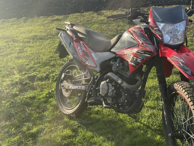 Форте Інша, об'ємом двигуна 0.25 л та пробігом 0 тис. км за 716 $, фото 3 на Automoto.ua