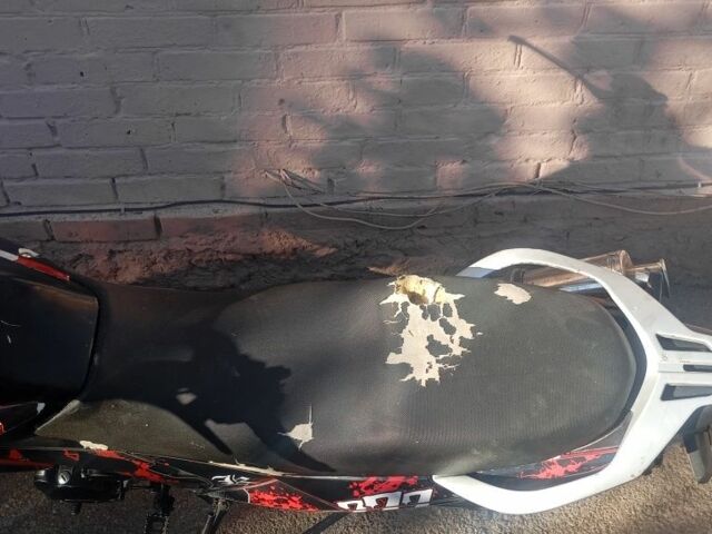 Форте Інша, об'ємом двигуна 0.2 л та пробігом 0 тис. км за 416 $, фото 3 на Automoto.ua