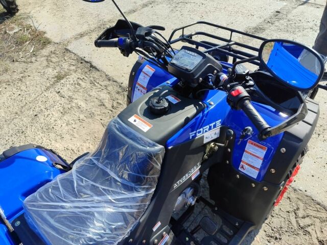 Форте Другая, объемом двигателя 0.25 л и пробегом 0 тыс. км за 3900 $, фото 4 на Automoto.ua