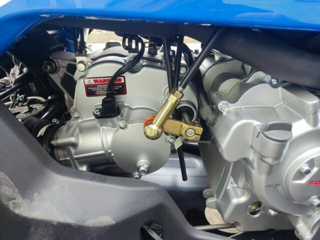 Форте Другая, объемом двигателя 0.3 л и пробегом 0 тыс. км за 3950 $, фото 5 на Automoto.ua