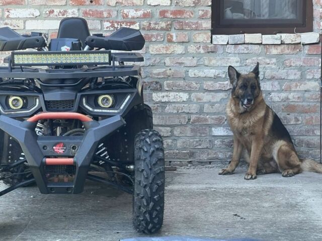Форте Другая, объемом двигателя 0.2 л и пробегом 0 тыс. км за 1550 $, фото 2 на Automoto.ua