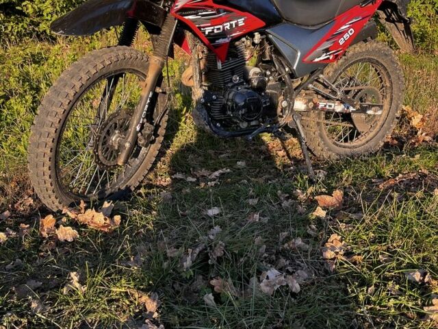 Форте Другая, объемом двигателя 0.25 л и пробегом 0 тыс. км за 833 $, фото 4 на Automoto.ua