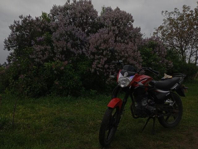 Форте Другая, объемом двигателя 0.15 л и пробегом 0 тыс. км за 357 $, фото 1 на Automoto.ua