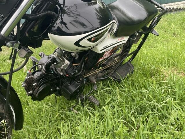 Форте Інша, об'ємом двигуна 0.13 л та пробігом 0 тис. км за 523 $, фото 5 на Automoto.ua