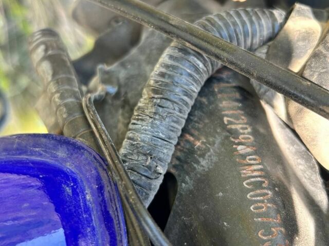 Форте Другая, объемом двигателя 0.13 л и пробегом 0 тыс. км за 428 $, фото 5 на Automoto.ua