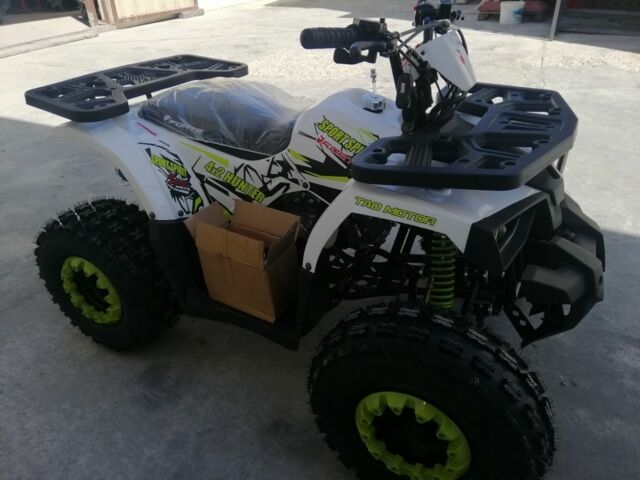 Форте Другая, объемом двигателя 0.13 л и пробегом 0 тыс. км за 1160 $, фото 12 на Automoto.ua