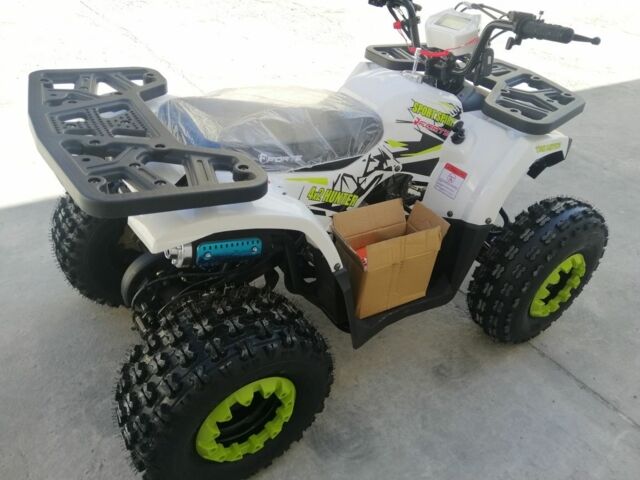 Форте Другая, объемом двигателя 0.13 л и пробегом 0 тыс. км за 1160 $, фото 11 на Automoto.ua