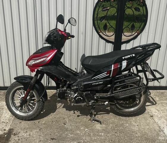 Форте Інша, об'ємом двигуна 0.13 л та пробігом 0 тис. км за 572 $, фото 3 на Automoto.ua