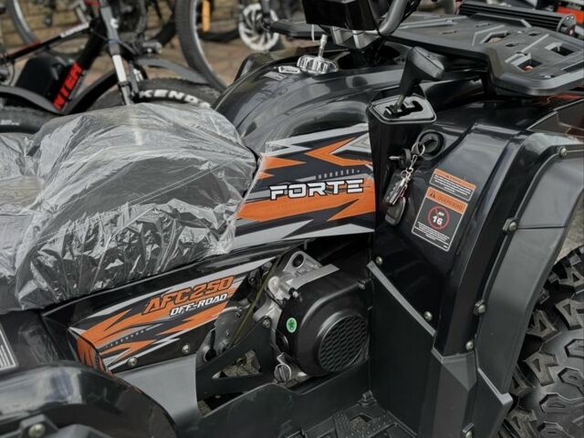 Форте Другая, объемом двигателя 0.25 л и пробегом 0 тыс. км за 2495 $, фото 5 на Automoto.ua