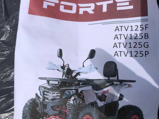 Форте Другая, объемом двигателя 0.13 л и пробегом 0 тыс. км за 999 $, фото 9 на Automoto.ua