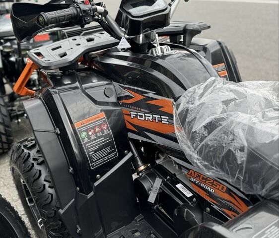 Форте Другая, объемом двигателя 0.25 л и пробегом 0 тыс. км за 2495 $, фото 7 на Automoto.ua