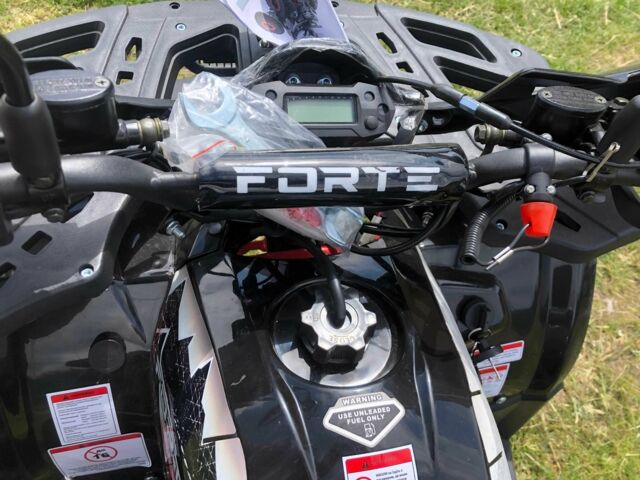 Форте Другая, объемом двигателя 0.13 л и пробегом 0 тыс. км за 999 $, фото 6 на Automoto.ua