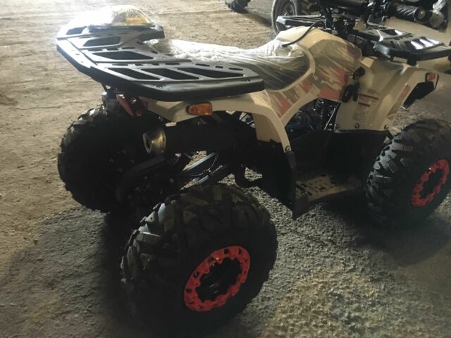 Форте Другая, объемом двигателя 0.13 л и пробегом 0 тыс. км за 1150 $, фото 7 на Automoto.ua