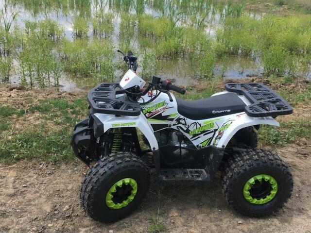 Форте Другая, объемом двигателя 0.13 л и пробегом 0 тыс. км за 1150 $, фото 4 на Automoto.ua